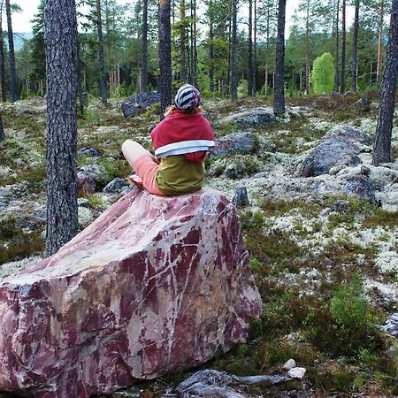 14 - Fulufjellets Nasjonalparker - Natur-, Dyre- Og Fugleopplevelser Trysil Eksteriør bilde
