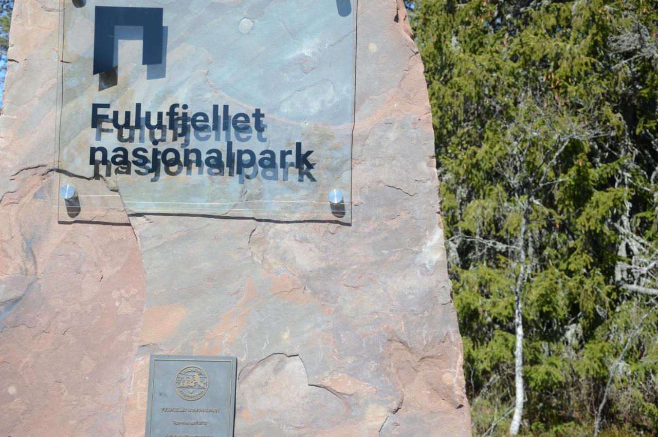 14 - Fulufjellets Nasjonalparker - Natur-, Dyre- Og Fugleopplevelser Trysil Eksteriør bilde