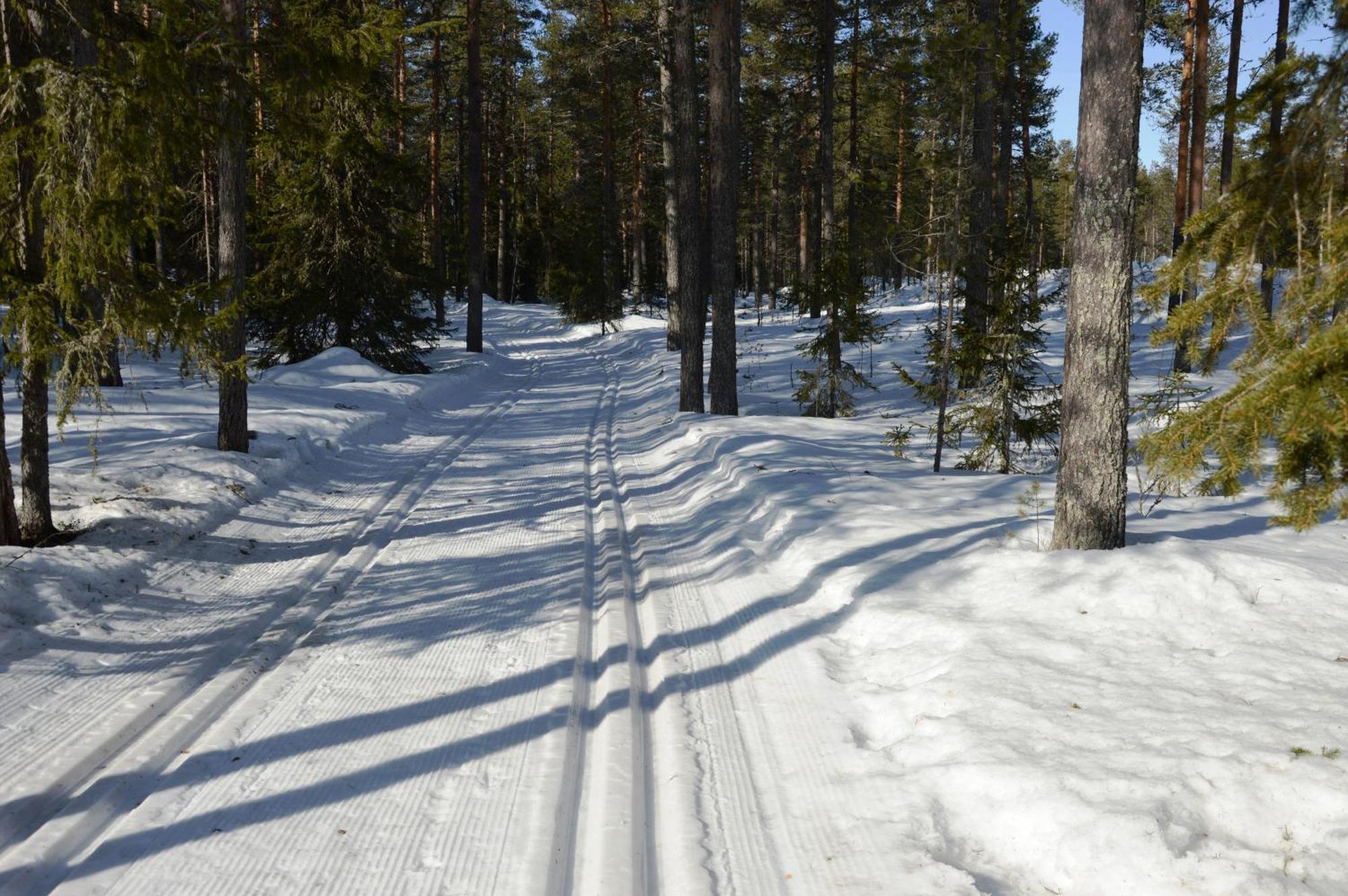 14 - Fulufjellets Nasjonalparker - Natur-, Dyre- Og Fugleopplevelser Trysil Eksteriør bilde