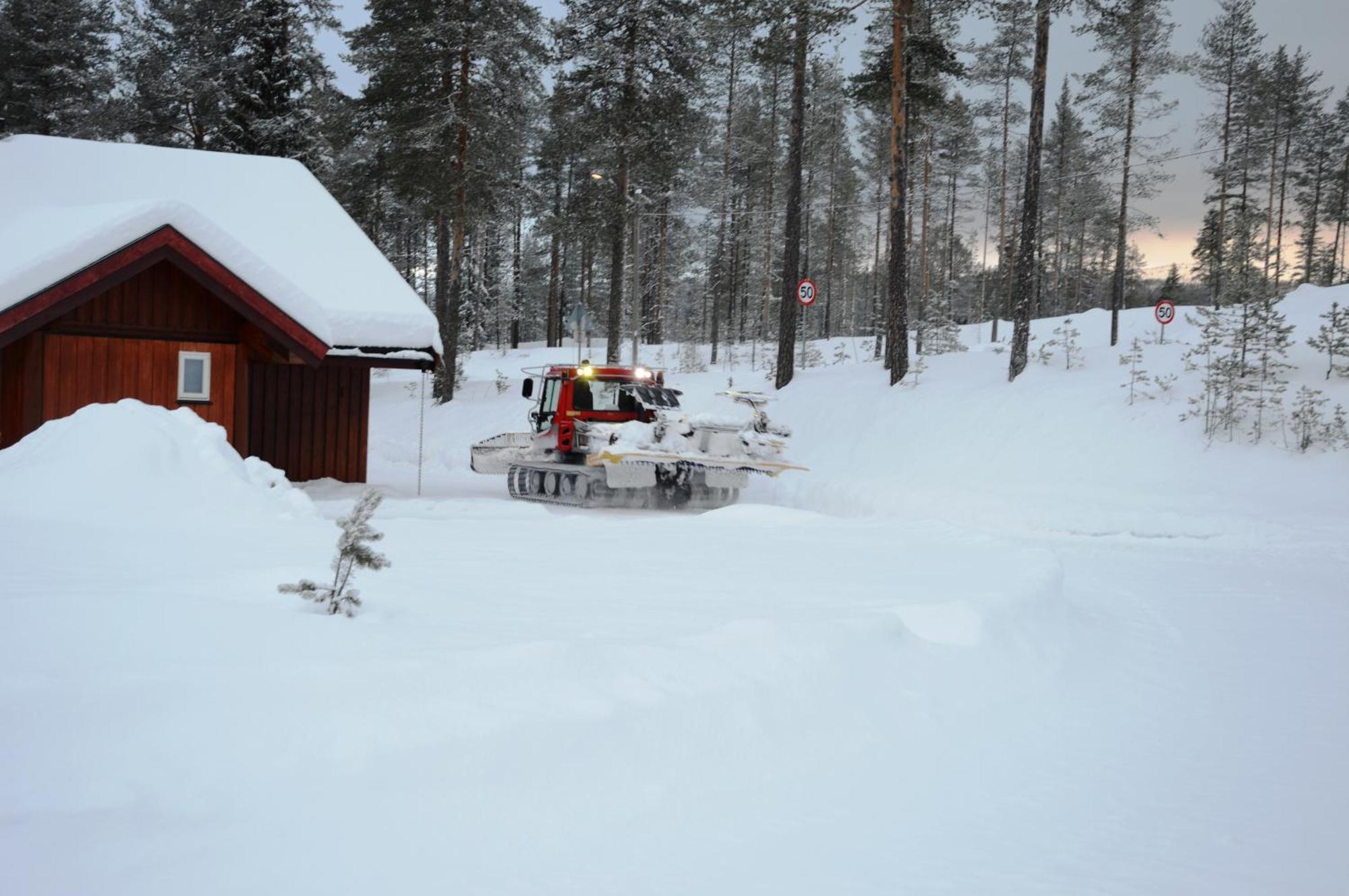 14 - Fulufjellets Nasjonalparker - Natur-, Dyre- Og Fugleopplevelser Trysil Eksteriør bilde