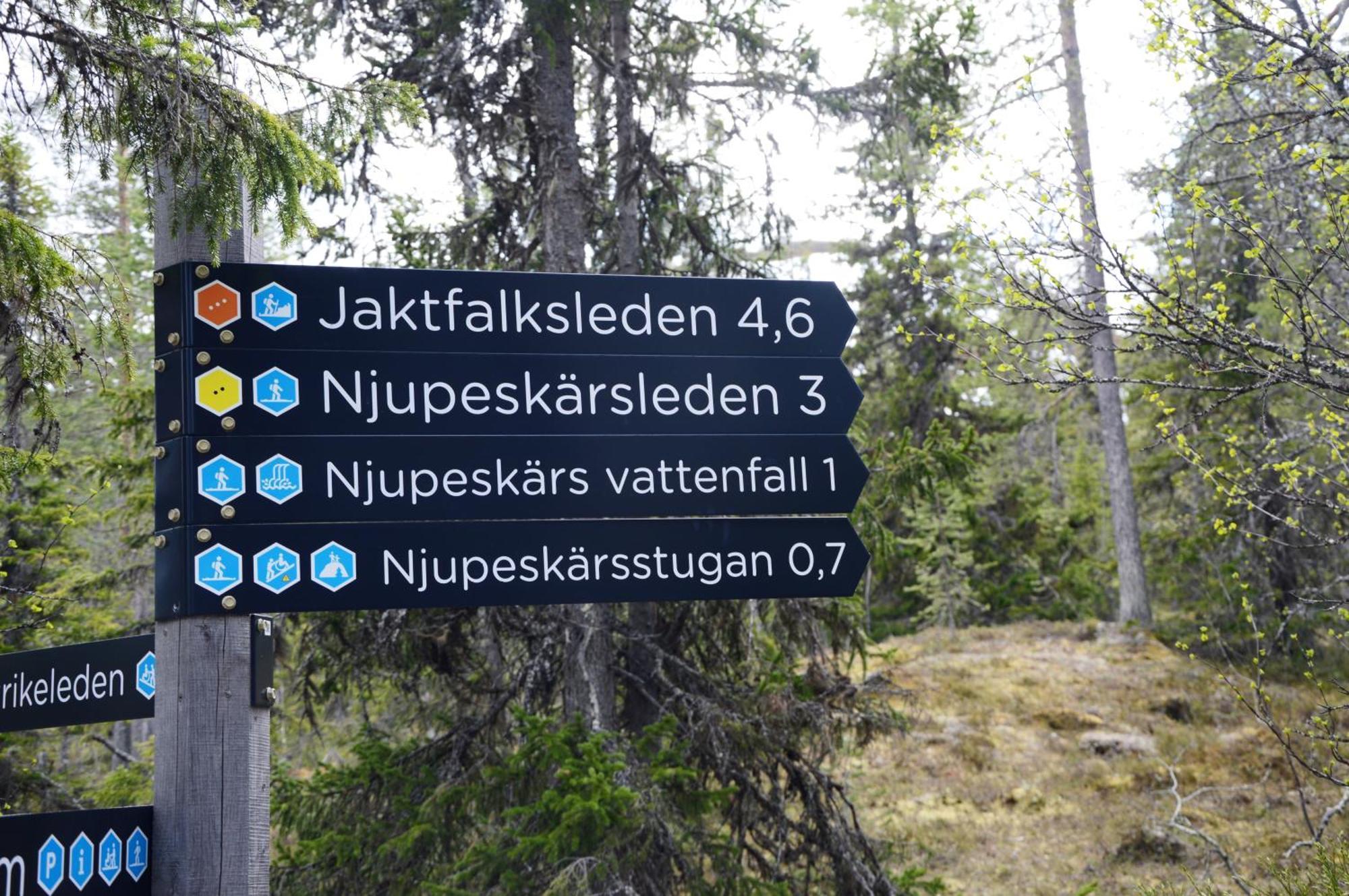 14 - Fulufjellets Nasjonalparker - Natur-, Dyre- Og Fugleopplevelser Trysil Eksteriør bilde
