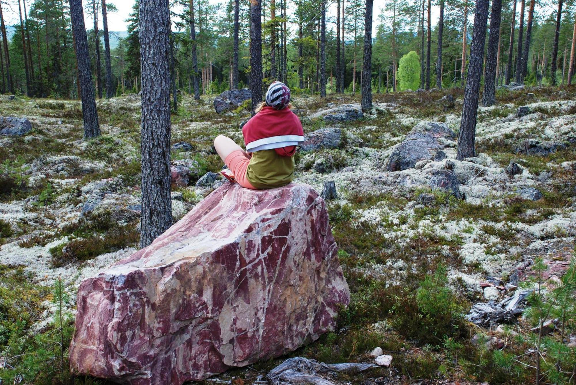 14 - Fulufjellets Nasjonalparker - Natur-, Dyre- Og Fugleopplevelser Trysil Eksteriør bilde