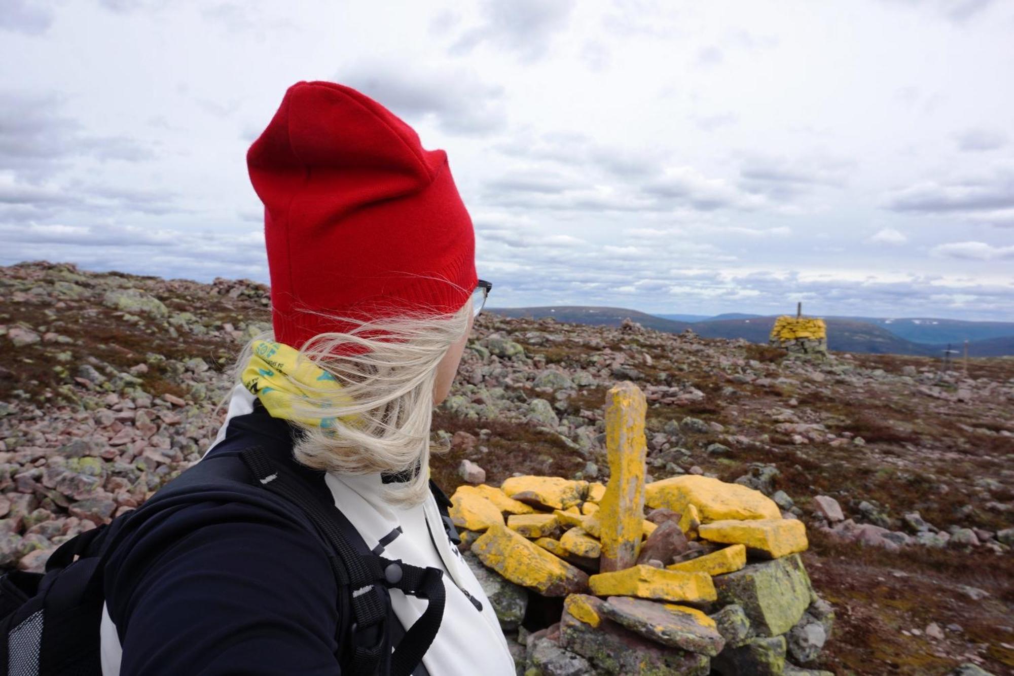 14 - Fulufjellets Nasjonalparker - Natur-, Dyre- Og Fugleopplevelser Trysil Eksteriør bilde