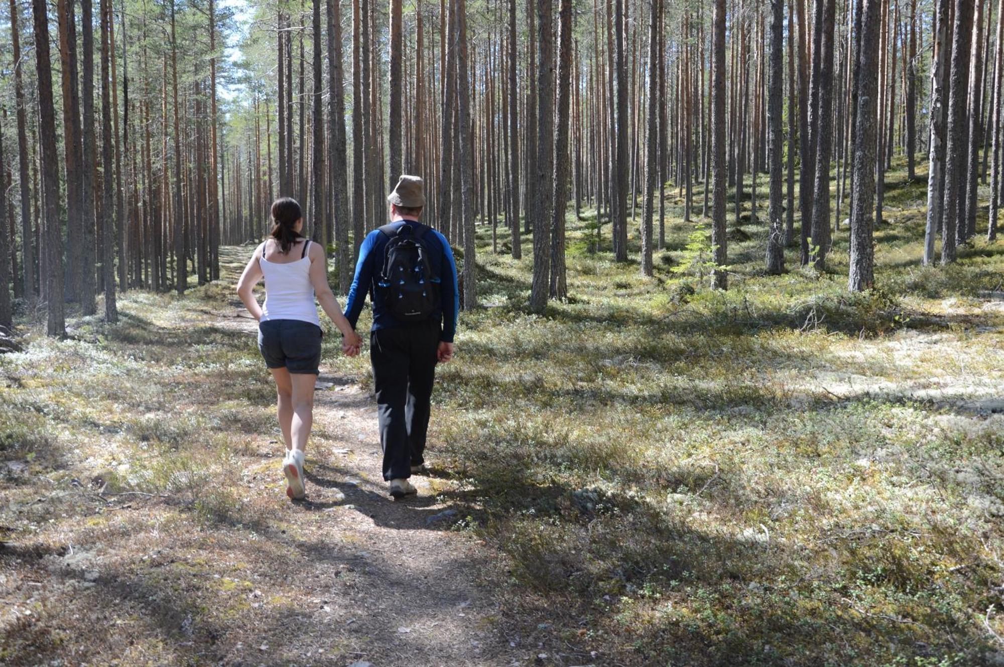 14 - Fulufjellets Nasjonalparker - Natur-, Dyre- Og Fugleopplevelser Trysil Eksteriør bilde