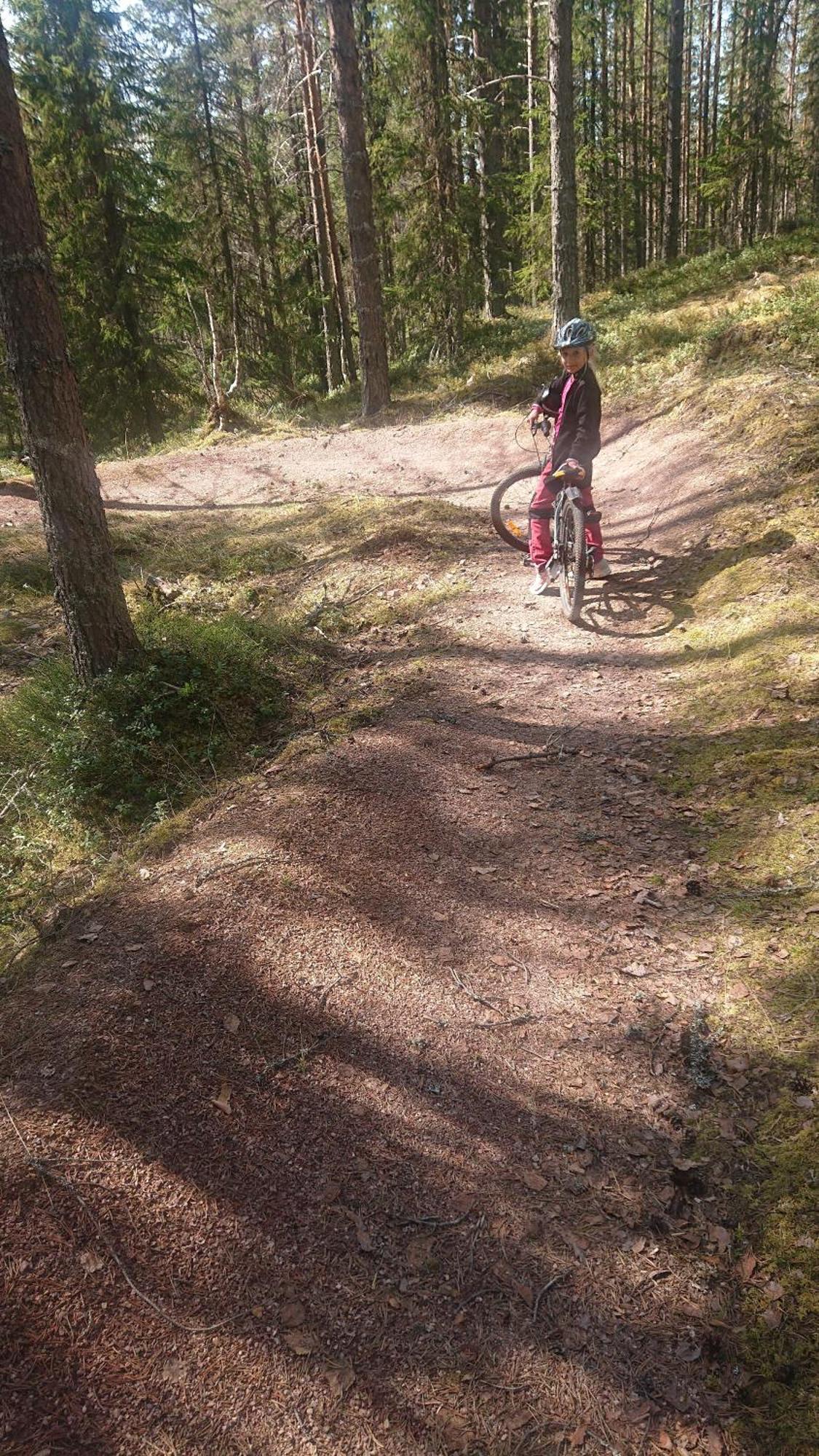 14 - Fulufjellets Nasjonalparker - Natur-, Dyre- Og Fugleopplevelser Trysil Eksteriør bilde