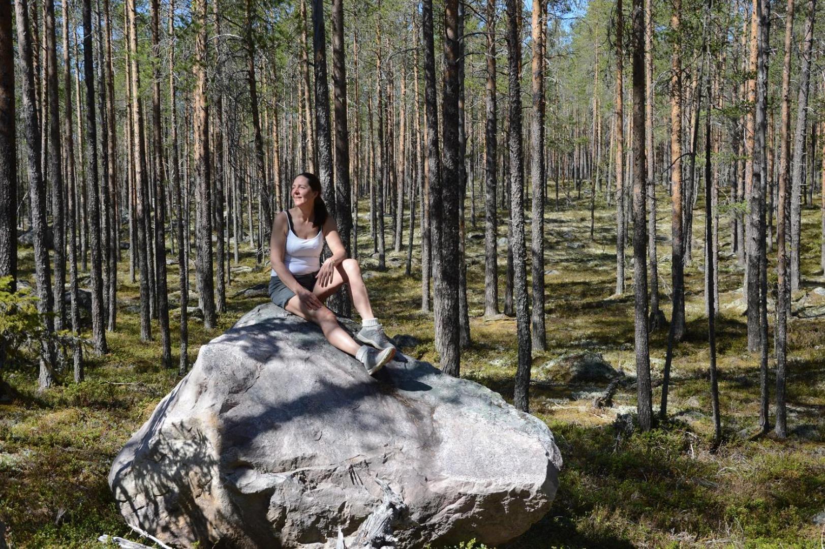 14 - Fulufjellets Nasjonalparker - Natur-, Dyre- Og Fugleopplevelser Trysil Eksteriør bilde