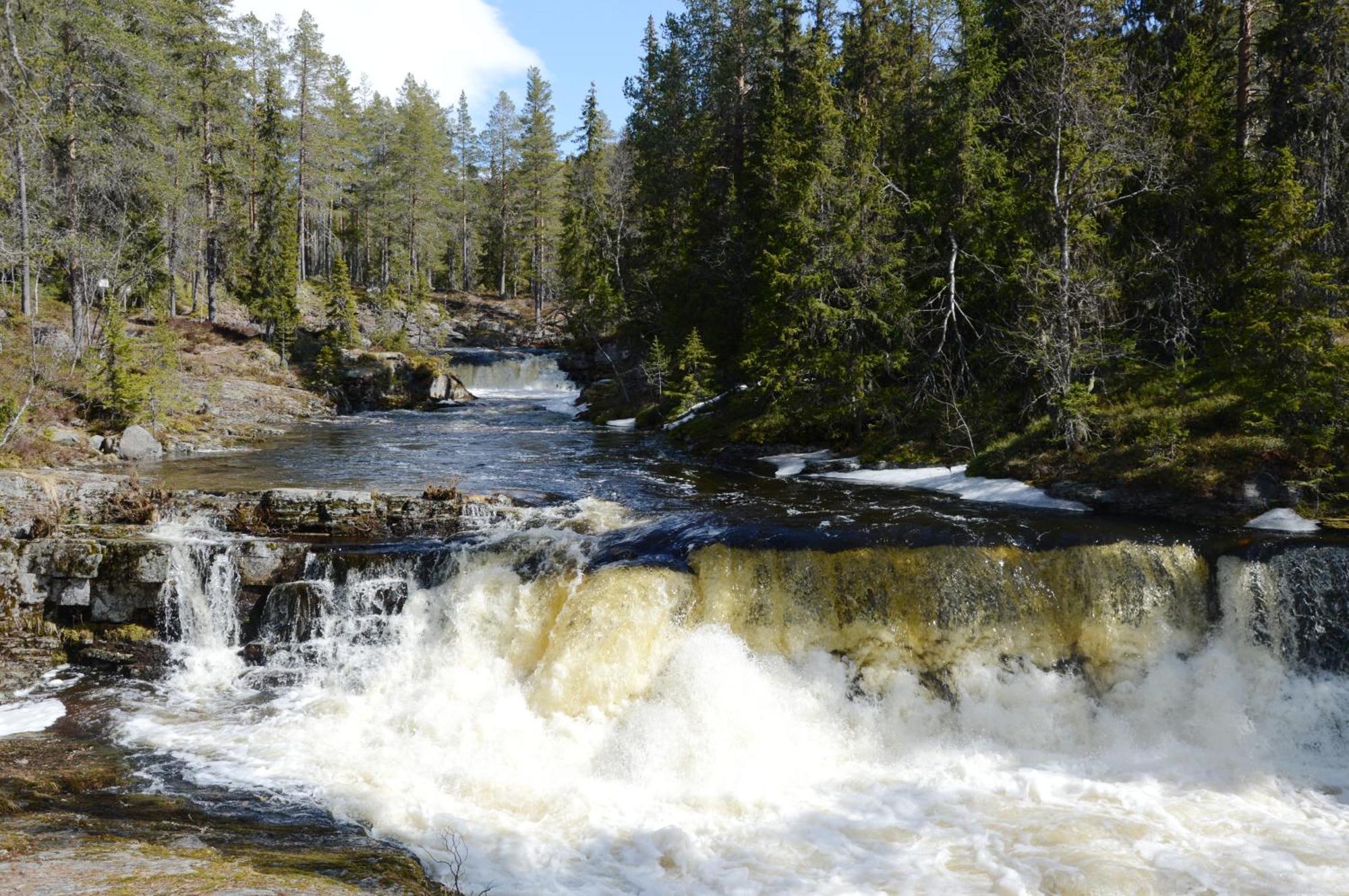 14 - Fulufjellets Nasjonalparker - Natur-, Dyre- Og Fugleopplevelser Trysil Eksteriør bilde